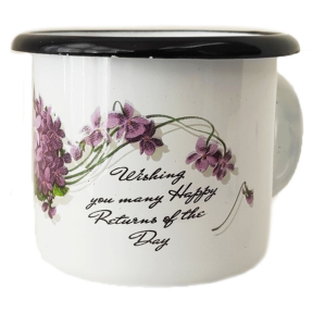 Кружка эмалированная 0.25л 01021/2 Виола