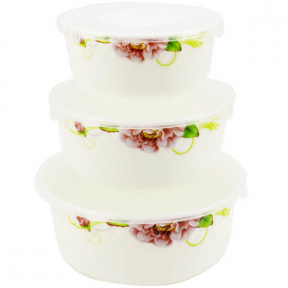 Набор салатников с крышкой 3 предмета Бузковий піон 6616
