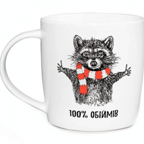 Чашка керамическая 360мл Енот в подарочной упаковке
