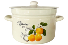 Каструля емальована 9л 1621/2 Абрикос Ідилія