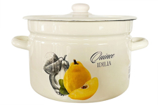 Кастрюля эмалированная 9л 1621/2 Айва Идиллия